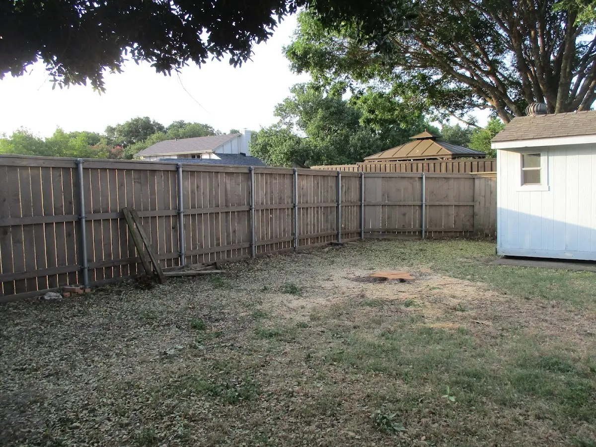 Cleared yard after professional tree removal in Eldorado